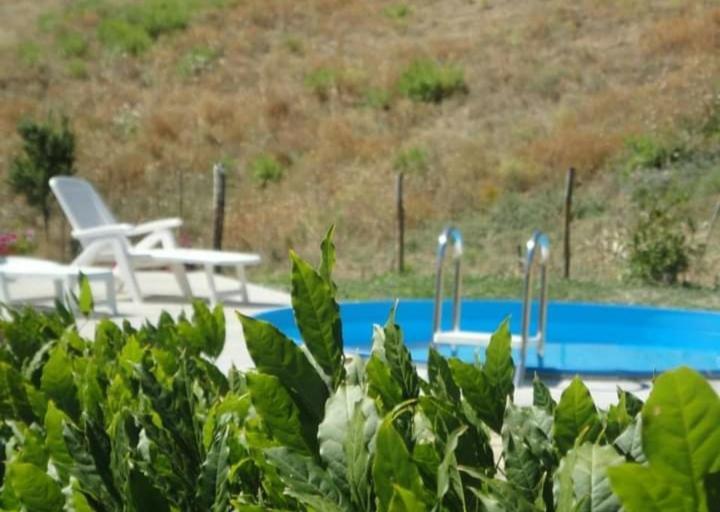 Casa Vacanze La Venarella Sorano  Pokoj fotografie
